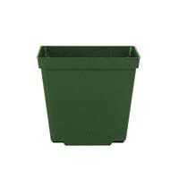 4" Green Square Bonsai Training Pot