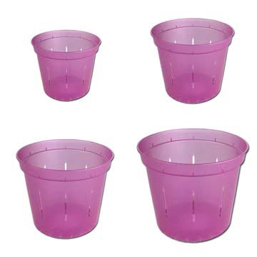 Growers Assortment of Rose Quartz Slotted Violet Pots