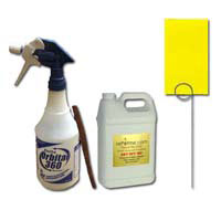 eliminate fungus gnats